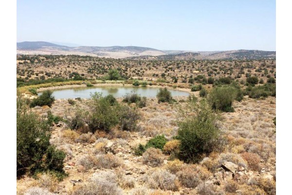 KALABAK’TA AĞAÇLANDIRMA SAHASI OLUŞTURULACAK