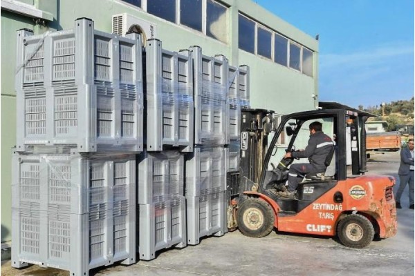 Zeytinler kasalarda toplanacak