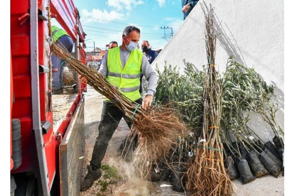 2021 YILININ İLK FİDANLARI ÜRETİCİYLE BULUŞTU