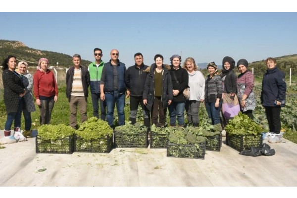 KADIN ÇİFTÇİLER İLK HASADINI YAPTI