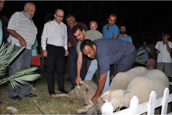 ALİAĞA'DA ŞÜKÜR KURBANI KESİLDİ