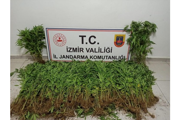 UYUŞTURUCU OPERASYONLARINDA 23 KİŞİ YAKALANDI