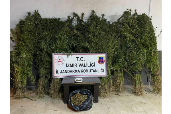 Uyuşturucu operasyonlarında 14 kişi yakalandı