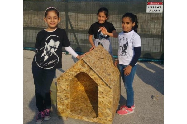 ÖĞRENCİLERDEN SOKAK HAYVANLARI İÇİN KULÜBE