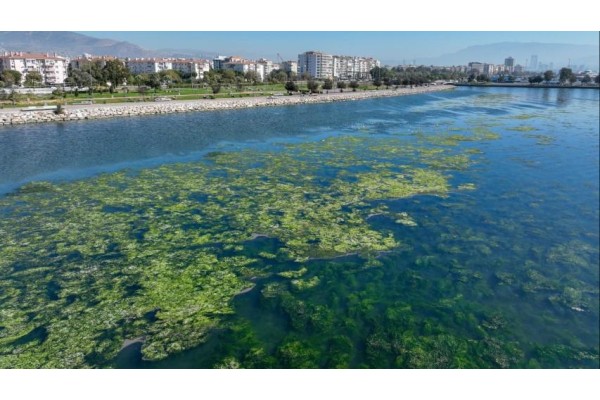 Körfez için 15 maddelik eylem planı