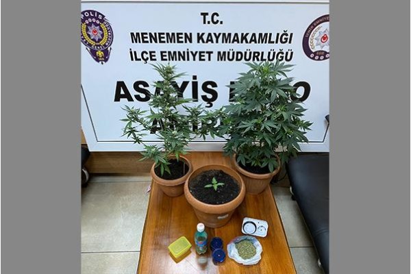 EVDE UYUŞTURUCU YETİŞTİREN KİŞİ GÖZALTINA ALINDI