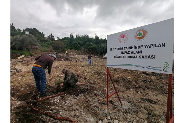 YIKILAN EVLERİN YERİNE FİDAN DİKİLDİ