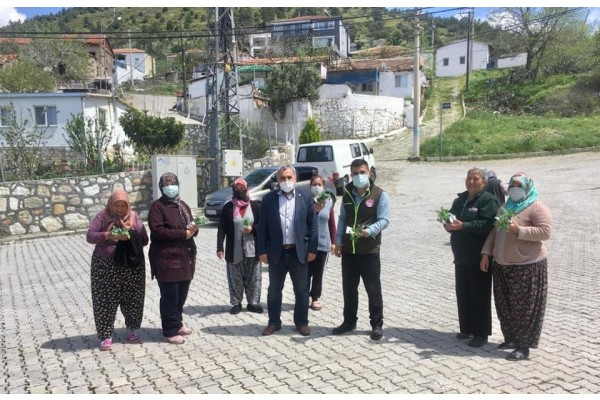 FİDELER ÜRETİCİYLE BULUŞTU