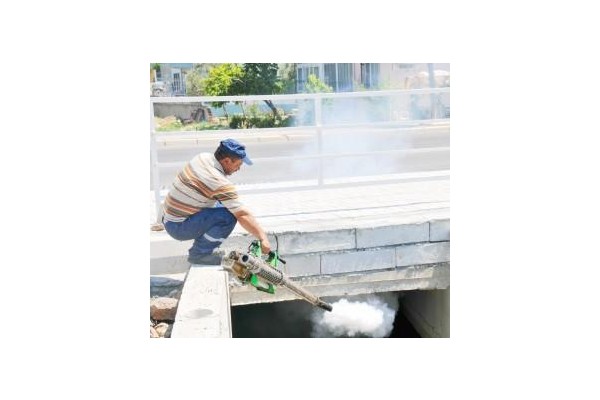 Sineksavarlar görev başında