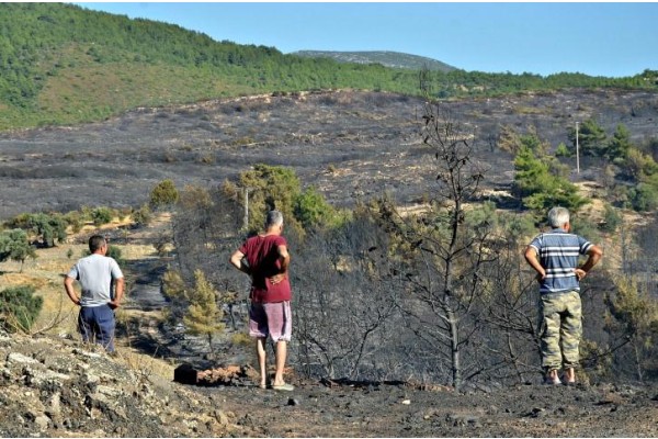 İZSİAD’DAN İZMİR’E FİDAN KAMPANYASI