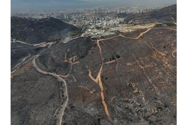 Yeşil alanlar yerini griye bıraktı