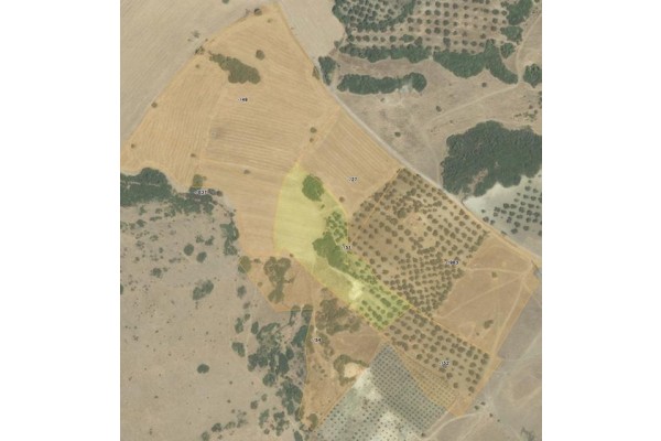 HEM KAÇAK DÖKÜYOR, HEM SÖZÜNDE DURMUYOR...