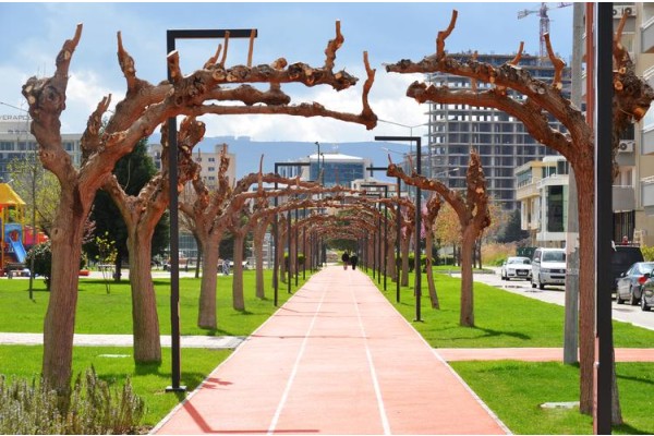 TABLO DEĞİL GERÇEK!