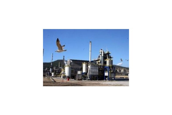 İthalat lobisi Petkim'i yıldırıyor