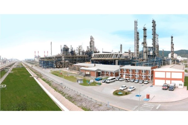 PETKİM'E YENİ STATÜ