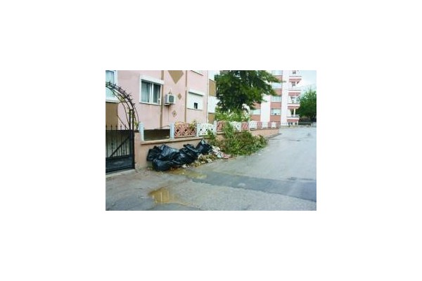 BU DALLARI KİM KALDIRACAK?