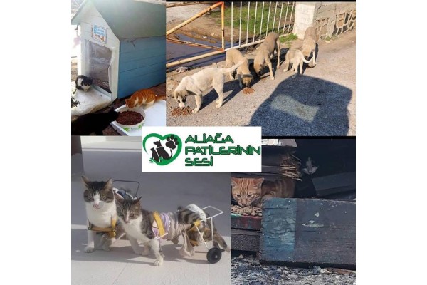 ALİAĞA PATİLERİNİN SESİ OLMAYA DEVAM EDİYORLAR