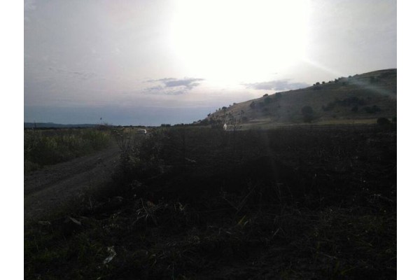 KARADUT’TA KORKUTAN OT YANGINI