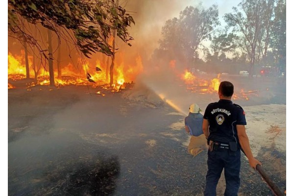 Zabıta ormanları korumak için iş başında