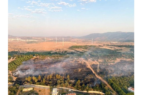 Yalı Mahallesi’nde 20 dönüm alan yandı