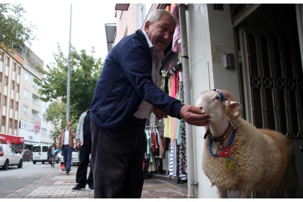 ALİAĞA BAYRAMA HAZIR