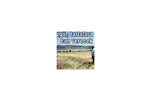 Bozgöl Göleti, tarlalara can verecek