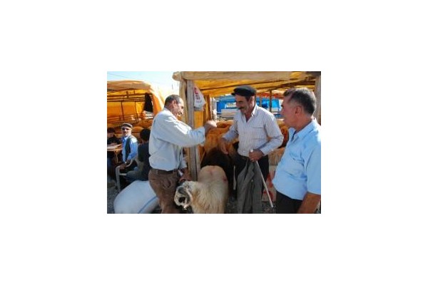 KURBAN BAYRAMINIZ KUTLU OLSUN