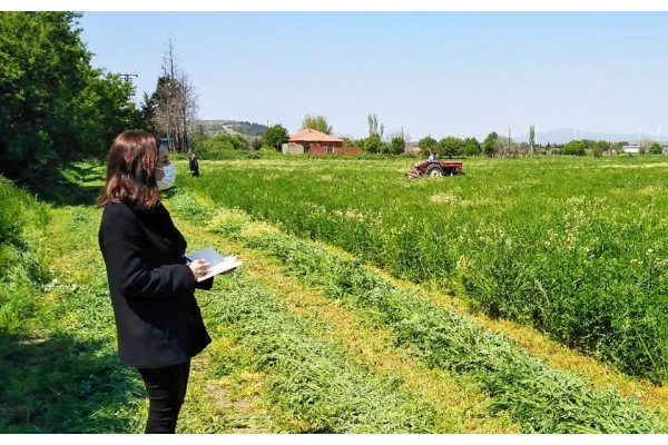 YEM BİTKİLERİ KONTROL EDİLDİ