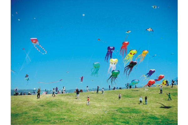 HAYDİ UÇURTMA  ŞENLİĞİNE!