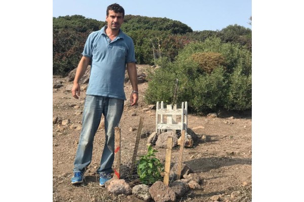 TAVŞAN ADASI’NI AĞAÇLANDIRIYORLAR