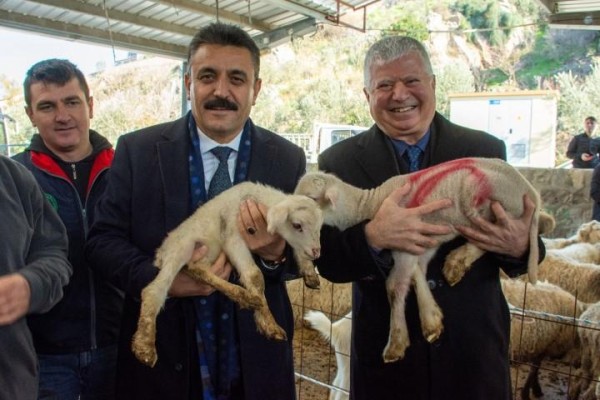 37 ÜRETİCİYE 143 KÜÇÜKBAŞ HAYVAN