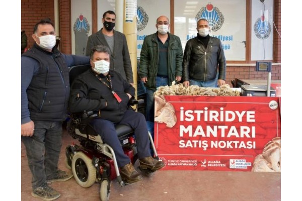 İLK MAHSULLER SATIŞA SUNULDU