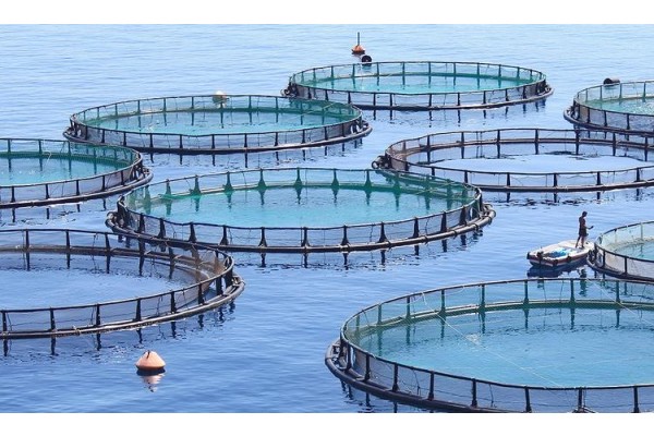 SU ÜRÜNLERİ HER YERDE, MÜHENDİS HİÇBİR YERDE