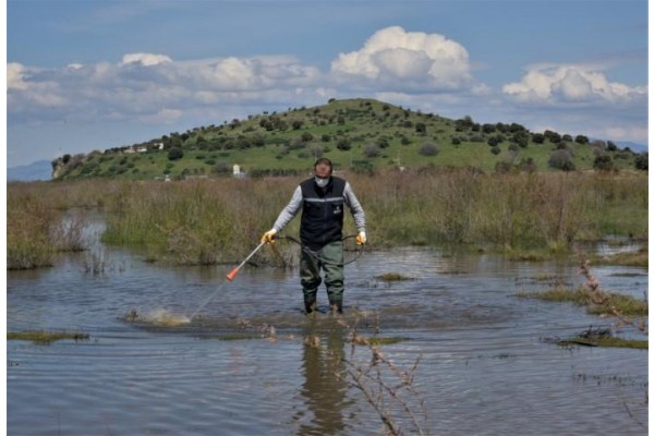 SİVRİSİNEKLE MÜCADELE SÜRÜYOR