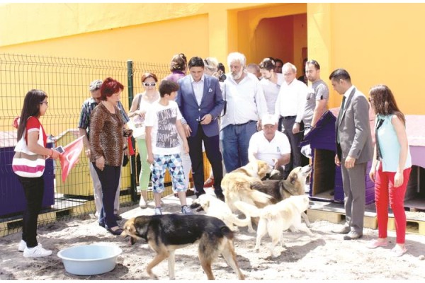 HAYVAN BAKIMEVİ YENİDEN HİZMETTE