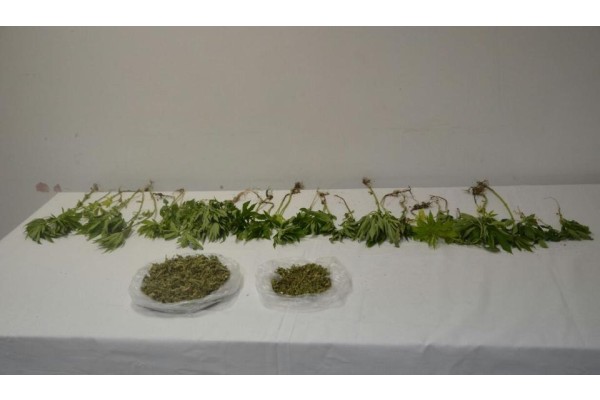 ALİAĞA'DA UYUŞTURUCU OPERASYONU