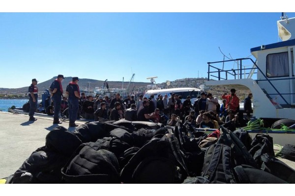 231 düzensiz göçmen yakalandı