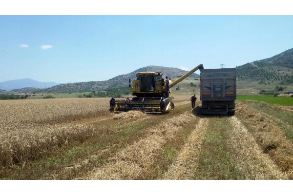 TARIMSAL DESTEK BÖLGELERİ BELLİ OLDU