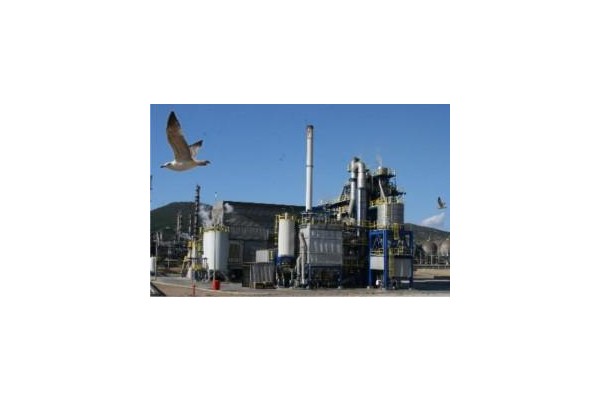 Ege'yi Petkim teşvik etti