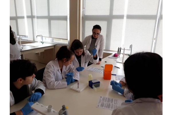 TED’de Biyoteknoloji Uygulamalarını  Deneyimleme Kursu