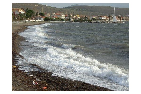 ALİAĞA'DA BİR ERKEK CESEDİ BULUNDU