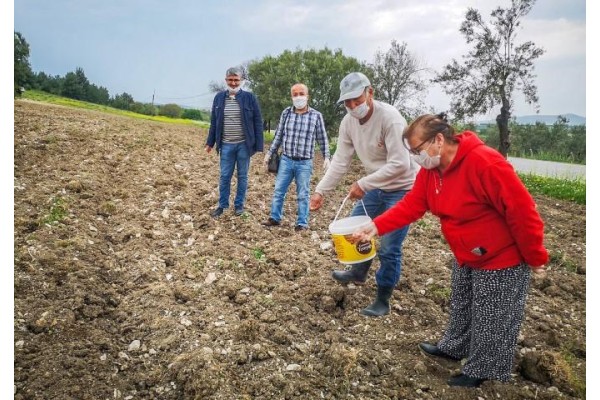SUSAM ÇEŞİTLERİ TOPRAKLA BULUŞTU