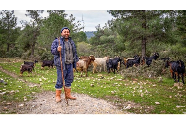 ÇOBAN HARİTASI ÇIKARILDI