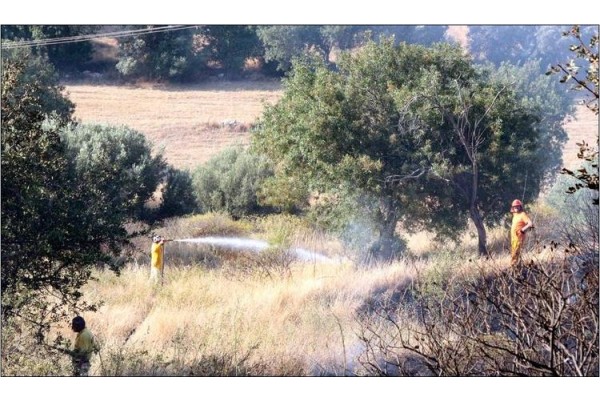 KYME YOLUNDA 50 DÖNÜM ALAN YANDI