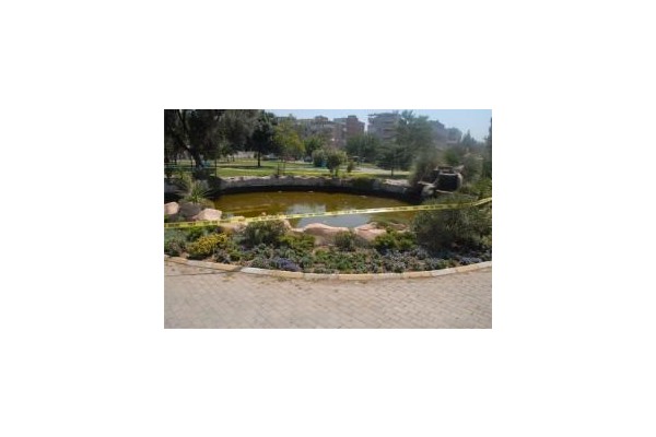 MİNİK EFE HAVUZDA BOĞULD