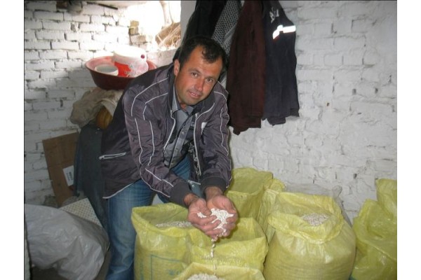 NOYANBEY FASULYE BEĞENİLDİ