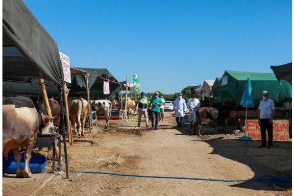 250 KURBAN PAZARINDA SIKI DENETİM