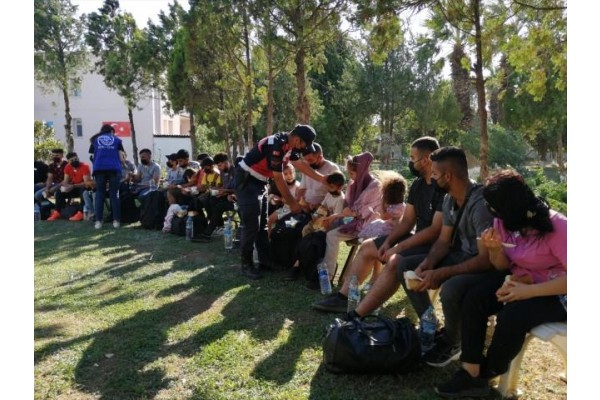 278 düzensiz göçmen yakalandı