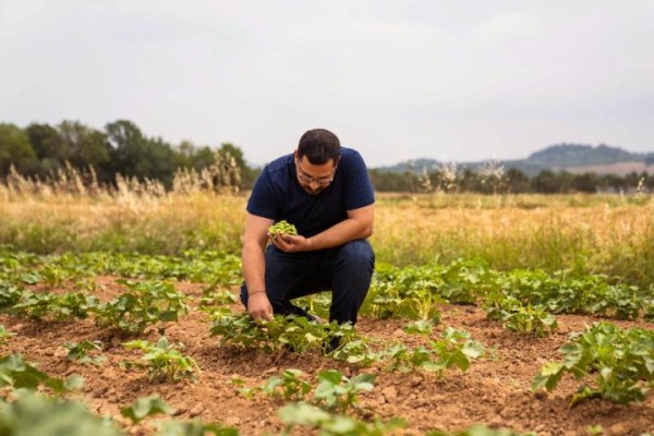 Kuraklıkla mücadele sürüyor