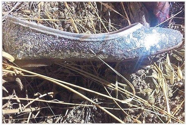 CESEDİN KİMLİĞİ DİZİNDEKİ PLATİNDEN BELİRLENECEK